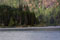 Le lac Cowichan prs de Honeymoon Bay