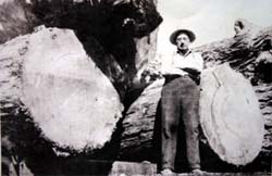 Lake Logging Timber, Dave, Madill foreman, 1928-